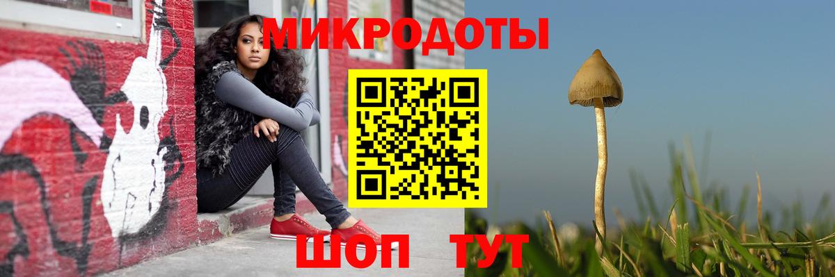 Рузаевка  Галлюциногенные грибы GOLDEN TEACHER  Вход с VPN 